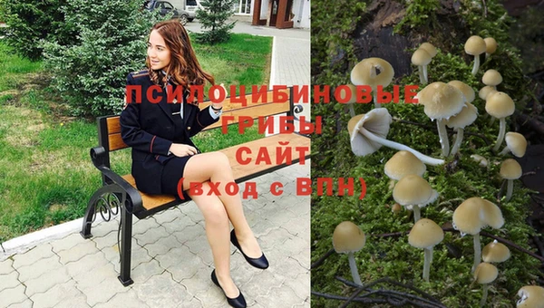 тгк Заволжье