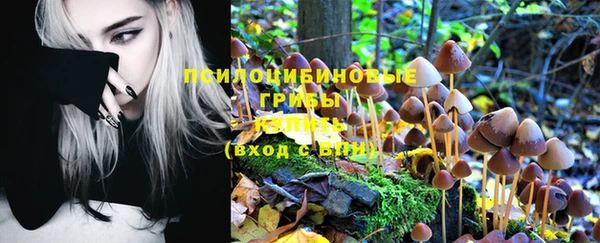 тгк Заволжье