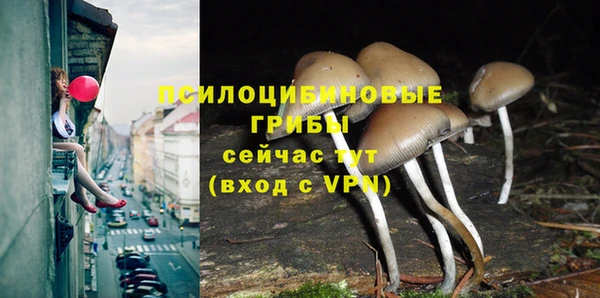 трава Заводоуковск